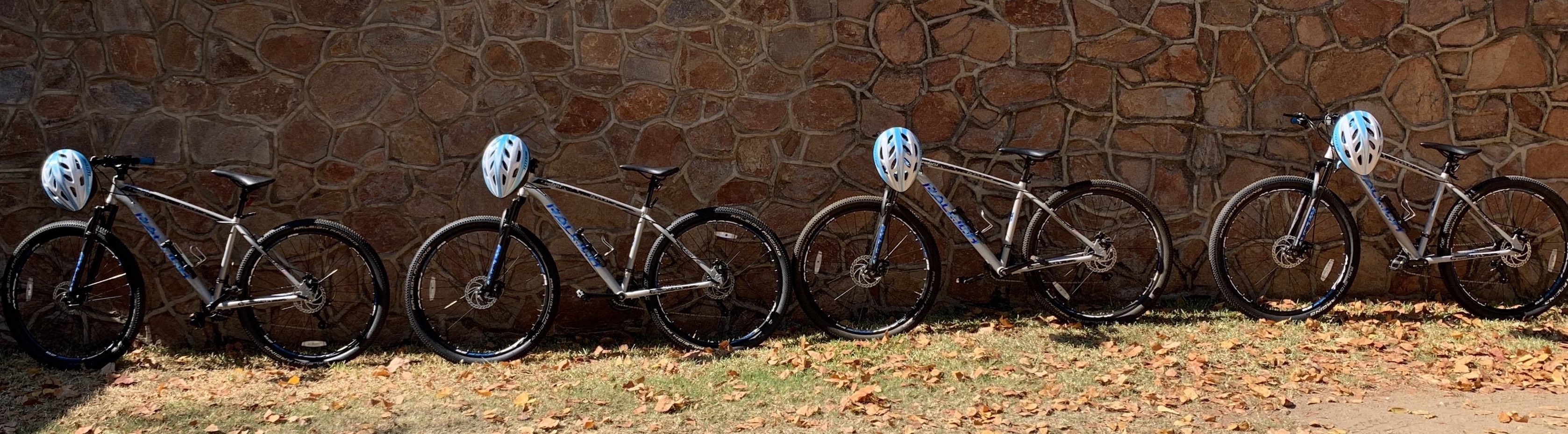 Bicycles available to hire at Hornbill Lodge